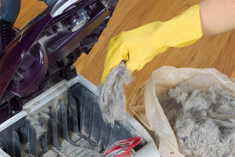 Why you should ALWAYS use a dustbag in a bagged vacuum cleaner